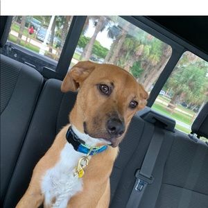 Meet your Posher, Rachel